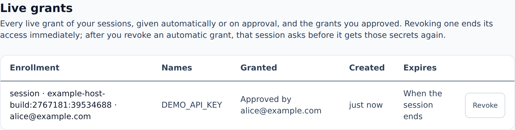 Live grants in Settings: the example-host-build session holding DEMO_API_KEY, approved by alice@example.com, expiring when the session ends, with a Revoke button